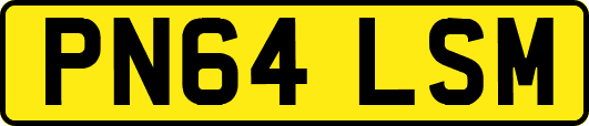 PN64LSM
