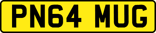 PN64MUG