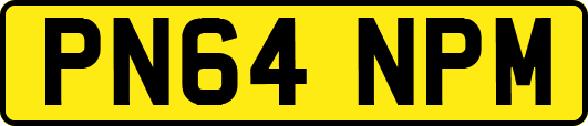 PN64NPM