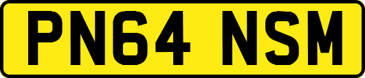 PN64NSM