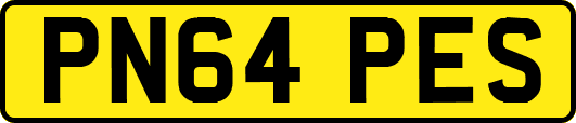 PN64PES