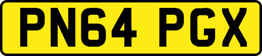 PN64PGX
