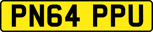 PN64PPU