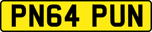 PN64PUN