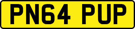 PN64PUP