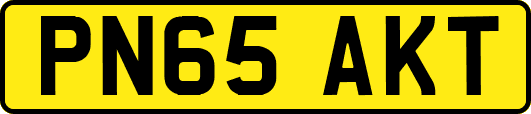 PN65AKT