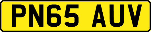 PN65AUV