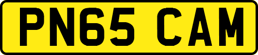 PN65CAM