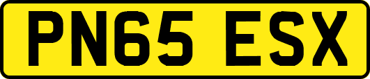 PN65ESX