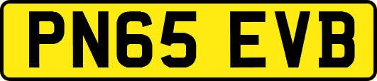 PN65EVB