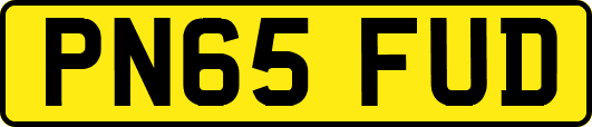 PN65FUD