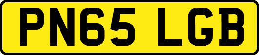 PN65LGB