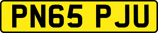 PN65PJU