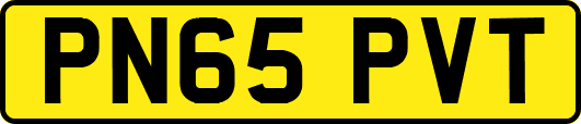 PN65PVT