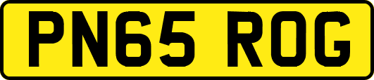 PN65ROG