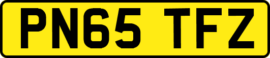 PN65TFZ
