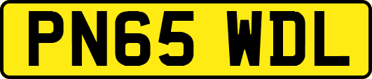 PN65WDL