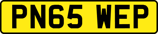 PN65WEP