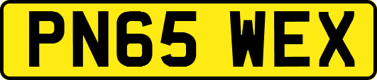 PN65WEX