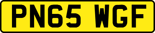 PN65WGF