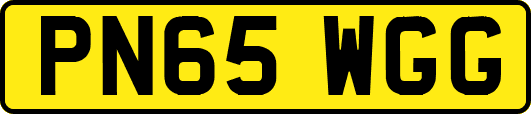 PN65WGG
