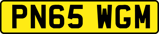 PN65WGM