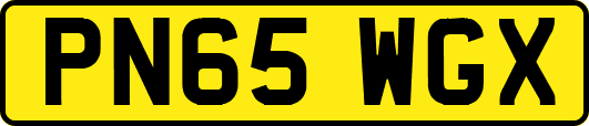 PN65WGX