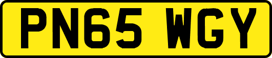 PN65WGY
