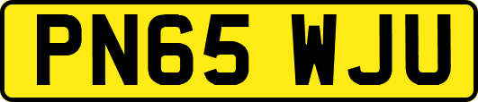 PN65WJU