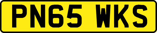 PN65WKS