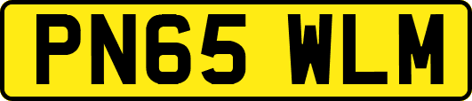 PN65WLM