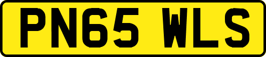 PN65WLS