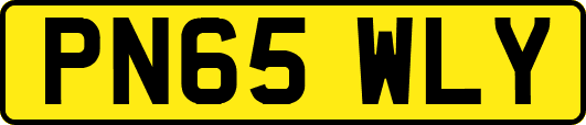 PN65WLY