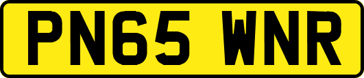 PN65WNR