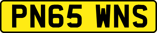 PN65WNS