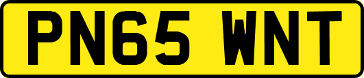 PN65WNT