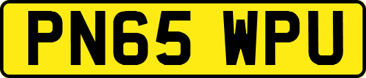 PN65WPU