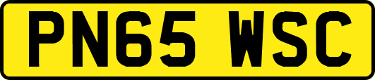PN65WSC