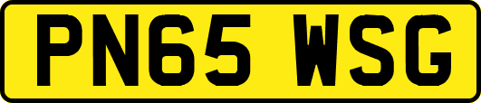 PN65WSG