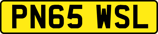 PN65WSL