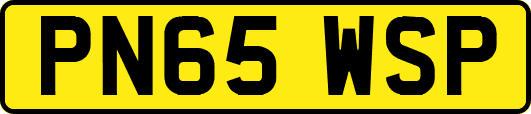 PN65WSP