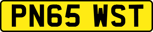 PN65WST