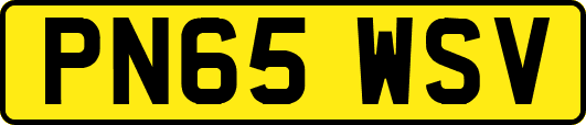 PN65WSV