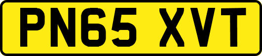 PN65XVT