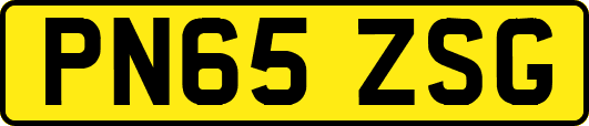 PN65ZSG