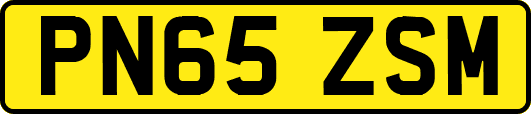 PN65ZSM