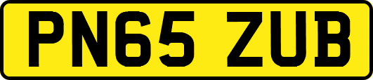PN65ZUB