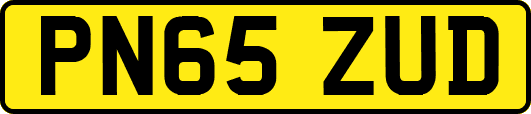 PN65ZUD