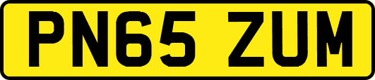 PN65ZUM