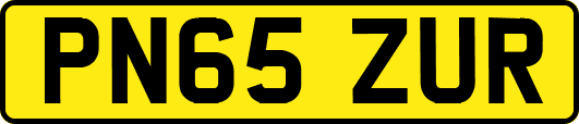 PN65ZUR